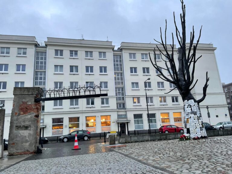 473012853 1037682261708536 2565917569331474160 n