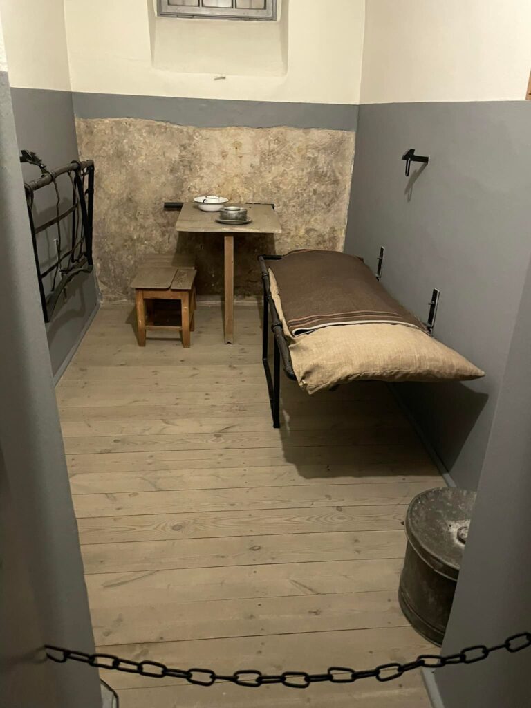 473212259 1037682411708521 4585283398160125882 n