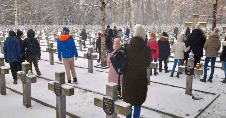 481262355 1204084178385230 4467286085300922586 n