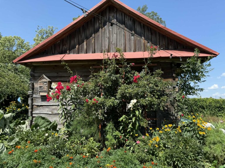 0bae2358 e9c9 4f11 8ac6 dc42d0e405c9