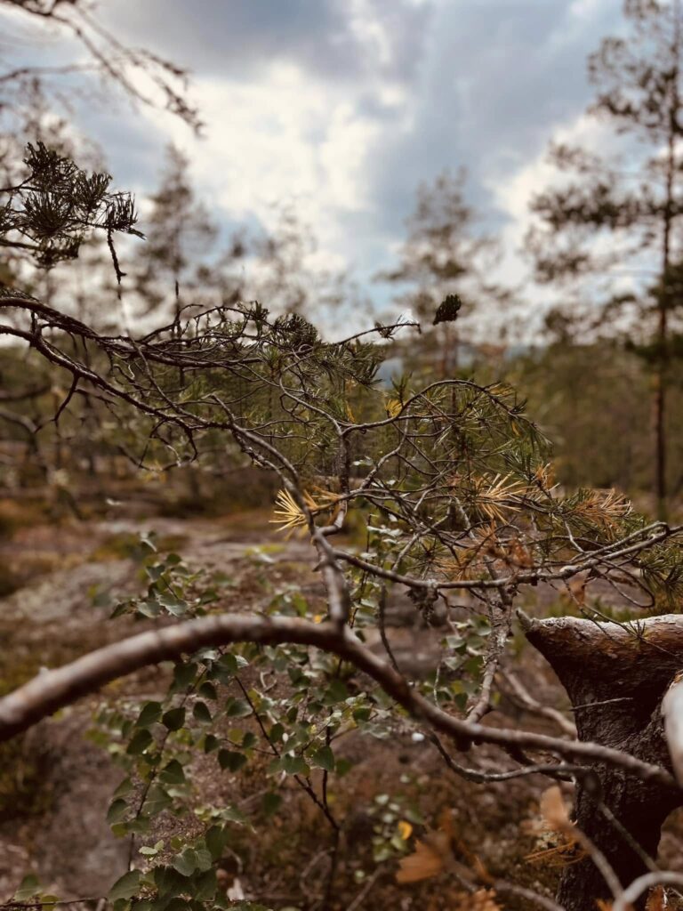 485011833 1048071814022993 7711579802100563445 n