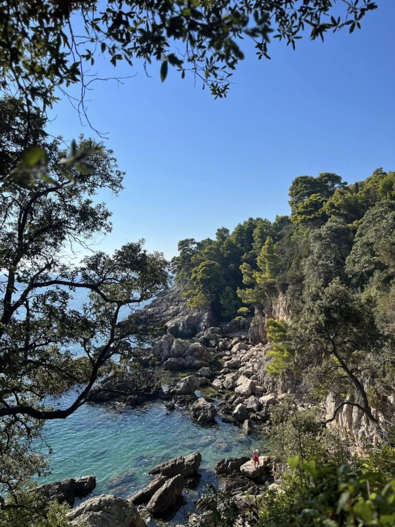 485091072 1047894104040764 6194038902347310698 n