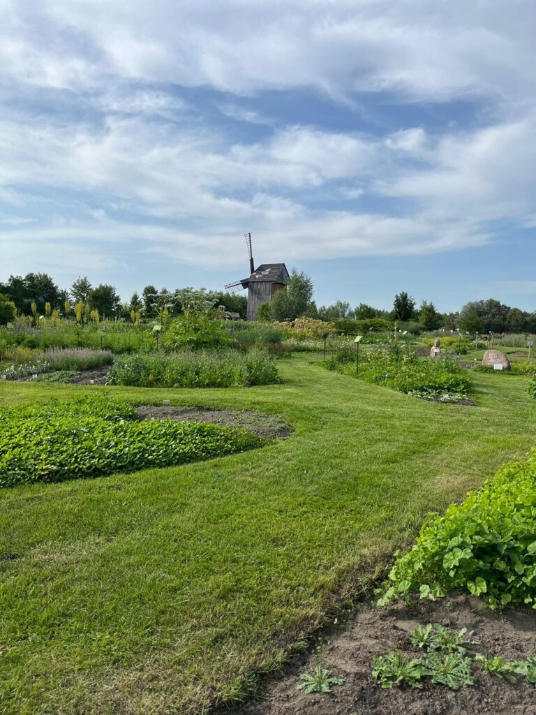 485619395 1792142848233163 173984397636160231 n