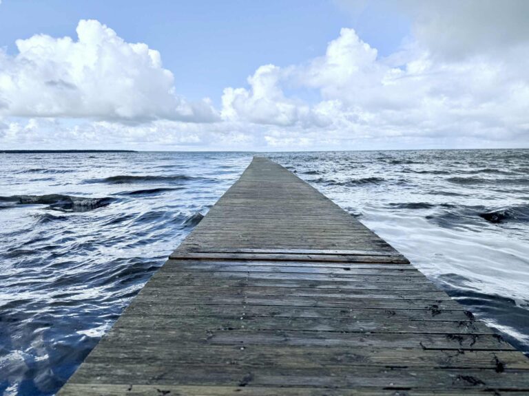 874265cf 830e 42a7 a5d5 9888dfcce66e